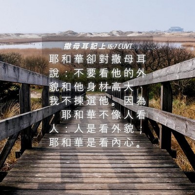 Picture 04 - 撒 母 耳 記 上 16:7 CUVT - 耶 和 華 卻 對 撒 母 耳 說 ： 不 要 - Bible Verse Picture