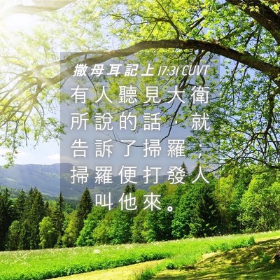 Picture 04 - 撒 母 耳 記 上 17:31 CUVT - 有 人 聽 見 大 衛 所 說 的 話 ， 就 - Bible Verse Picture