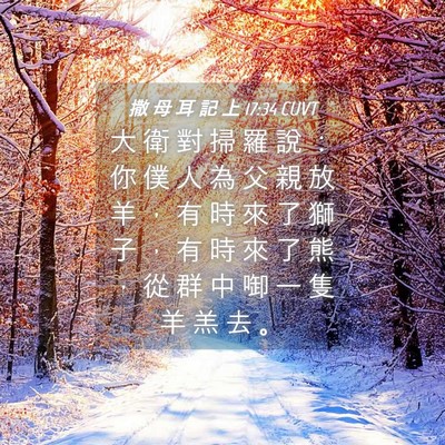 Picture 04 - 撒 母 耳 記 上 17:34 CUVT - 大 衛 對 掃 羅 說 ： 你 僕 人 為 父 - Bible Verse Picture