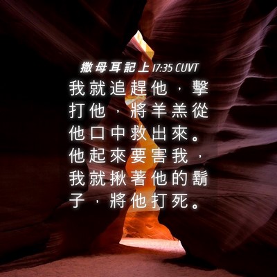 Picture 04 - 撒 母 耳 記 上 17:35 CUVT - 我 就 追 趕 他 ， 擊 打 他 ， 將 羊 - Bible Verse Picture