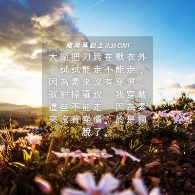 Picture 04 - 撒 母 耳 記 上 17:39 CUVT - 大 衛 把 刀 跨 在 戰 衣 外 ， 試 試 - Bible Verse Picture