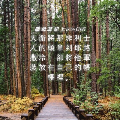 Picture 04 - 撒 母 耳 記 上 17:54 CUVT - 大 衛 將 那 非 利 士 人 的 頭 拿 到 - Bible Verse Picture
