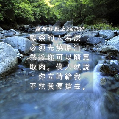 Picture 04 - 撒 母 耳 記 上 2:16 CUVT - 獻 祭 的 人 若 說 ： 必 須 先 燒 脂 - Bible Verse Picture