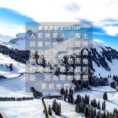 Picture 04 - 撒 母 耳 記 上 2:25 CUVT - 人 若 得 罪 人 ， 有 士 師 審 判 他 - Bible Verse Picture