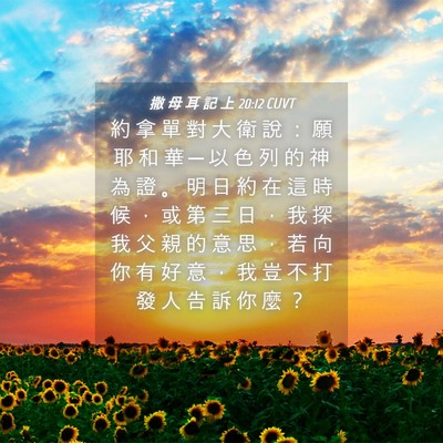 Picture 04 - 撒 母 耳 記 上 20:12 CUVT - 約 拿 單 對 大 衛 說 ： 願 耶 和 華 - Bible Verse Picture