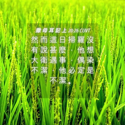 Picture 04 - 撒 母 耳 記 上 20:26 CUVT - 然 而 這 日 掃 羅 沒 有 說 甚 麼 ， - Bible Verse Picture