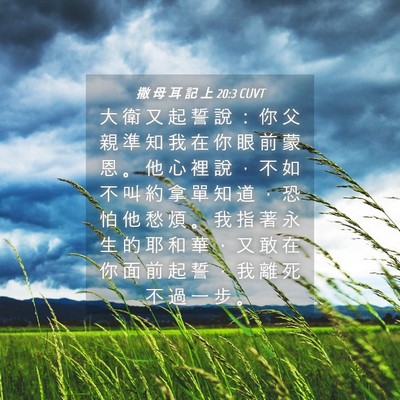Picture 04 - 撒 母 耳 記 上 20:3 CUVT - 大 衛 又 起 誓 說 ： 你 父 親 準 知 - Bible Verse Picture