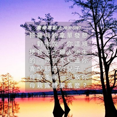 Picture 04 - 撒 母 耳 記 上 20:30 CUVT - 掃 羅 向 約 拿 單 發 怒 ， 對 他 說 - Bible Verse Picture