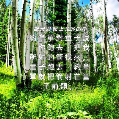 Picture 04 - 撒 母 耳 記 上 20:36 CUVT - 約 拿 單 對 童 子 說 ： 你 跑 去 ， - Bible Verse Picture
