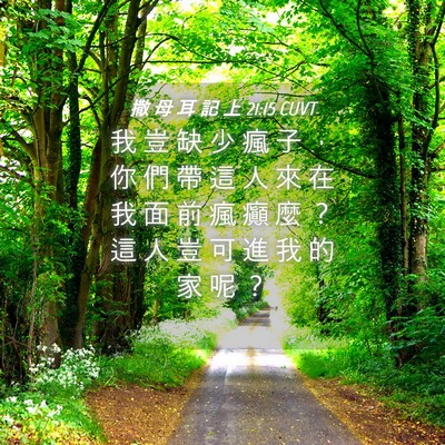 Picture 04 - 撒 母 耳 記 上 21:15 CUVT - 我 豈 缺 少 瘋 子 ， 你 們 帶 這 人 - Bible Verse Picture
