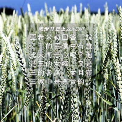 Picture 04 - 撒 母 耳 記 上 22:14 CUVT - 亞 希 米 勒 回 答 王 說 ： 王 的 臣 - Bible Verse Picture