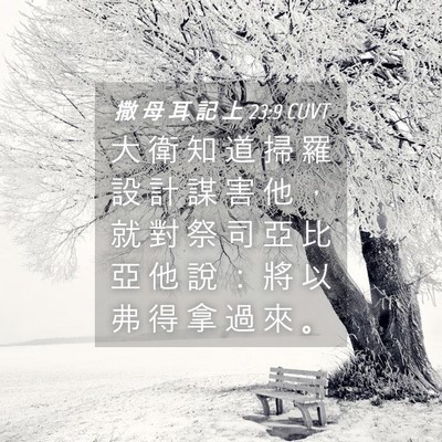 Picture 04 - 撒 母 耳 記 上 23:9 CUVT - 大 衛 知 道 掃 羅 設 計 謀 害 他 ， - Bible Verse Picture