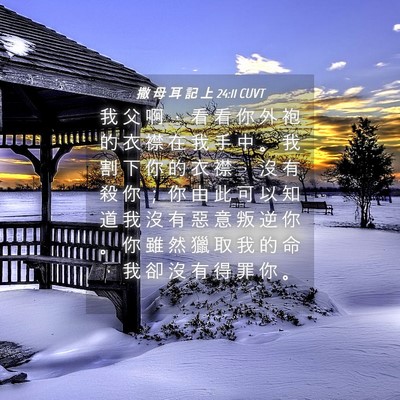 Picture 04 - 撒 母 耳 記 上 24:11 CUVT - 我 父 啊 ， 看 看 你 外 袍 的 衣 襟 - Bible Verse Picture