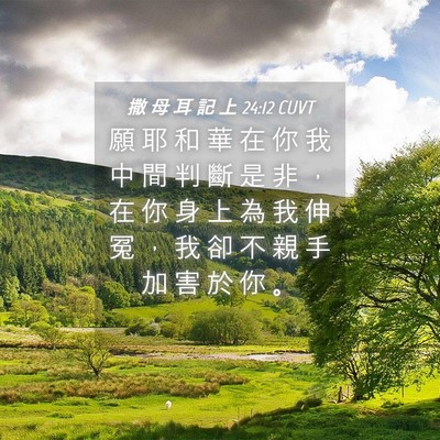 Picture 04 - 撒 母 耳 記 上 24:12 CUVT - 願 耶 和 華 在 你 我 中 間 判 斷 是 - Bible Verse Picture
