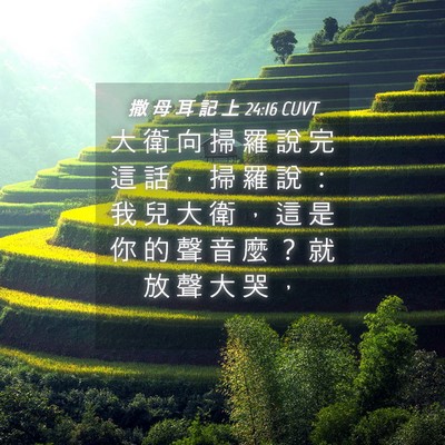 Picture 04 - 撒 母 耳 記 上 24:16 CUVT - 大 衛 向 掃 羅 說 完 這 話 ， 掃 羅 - Bible Verse Picture