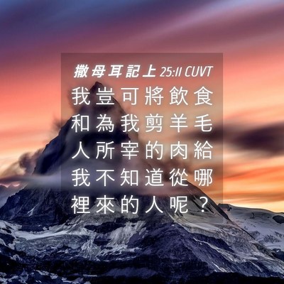 Picture 04 - 撒 母 耳 記 上 25:11 CUVT - 我 豈 可 將 飲 食 和 為 我 剪 羊 毛 - Bible Verse Picture