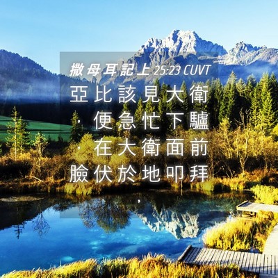 Picture 04 - 撒 母 耳 記 上 25:23 CUVT - 亞 比 該 見 大 衛 ， 便 急 忙 下 驢 - Bible Verse Picture