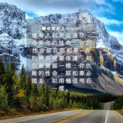 Picture 04 - 撒 母 耳 記 上 25:29 CUVT - 雖 有 人 起 來 追 逼 你 ， 尋 索 你 - Bible Verse Picture