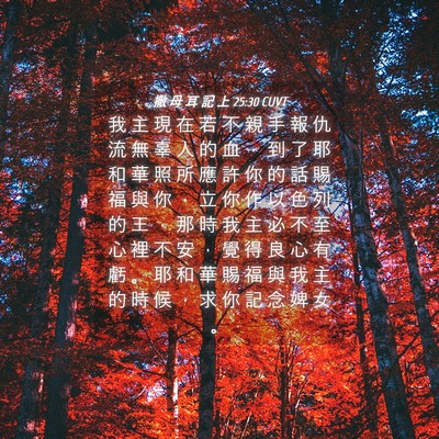 Picture 04 - 撒 母 耳 記 上 25:30 CUVT - 我 主 現 在 若 不 親 手 報 仇 流 無 - Bible Verse Picture