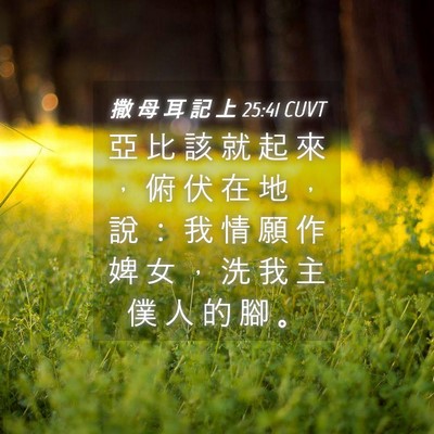 Picture 04 - 撒 母 耳 記 上 25:41 CUVT - 亞 比 該 就 起 來 ， 俯 伏 在 地 ， - Bible Verse Picture