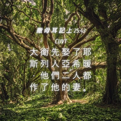 Picture 04 - 撒 母 耳 記 上 25:43 CUVT - 大 衛 先 娶 了 耶 斯 列 人 亞 希 暖 - Bible Verse Picture