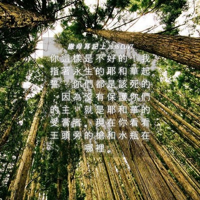 Picture 04 - 撒 母 耳 記 上 26:16 CUVT - 你 這 樣 是 不 好 的 ！ 我 指 著 永 - Bible Verse Picture