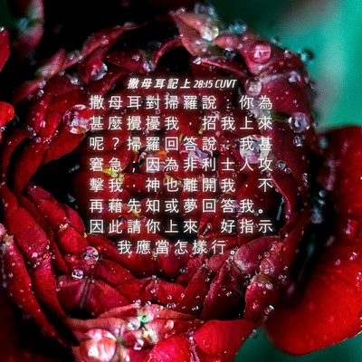 Picture 04 - 撒 母 耳 記 上 28:15 CUVT - 撒 母 耳 對 掃 羅 說 ： 你 為 甚 麼 - Bible Verse Picture
