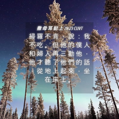 Picture 04 - 撒 母 耳 記 上 28:23 CUVT - 掃 羅 不 肯 ， 說 ： 我 不 吃 。 但 - Bible Verse Picture