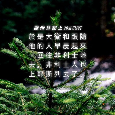 Picture 04 - 撒 母 耳 記 上 29:11 CUVT - 於 是 大 衛 和 跟 隨 他 的 人 早 晨 - Bible Verse Picture