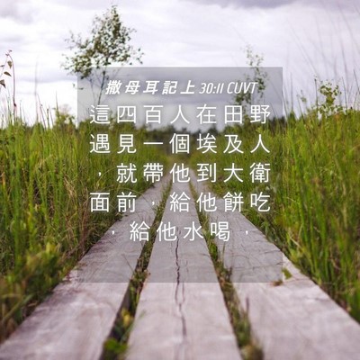 Picture 04 - 撒 母 耳 記 上 30:11 CUVT - 這 四 百 人 在 田 野 遇 見 一 個 埃 - Bible Verse Picture