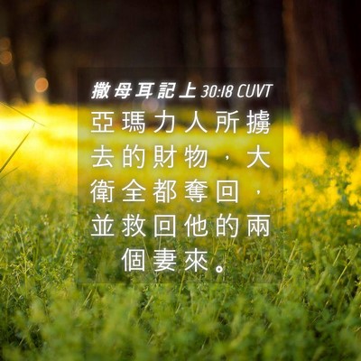 Picture 04 - 撒 母 耳 記 上 30:18 CUVT - 亞 瑪 力 人 所 擄 去 的 財 物 ， 大 - Bible Verse Picture