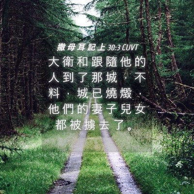 Picture 04 - 撒 母 耳 記 上 30:3 CUVT - 大 衛 和 跟 隨 他 的 人 到 了 那 城 - Bible Verse Picture