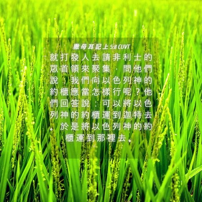 Picture 04 - 撒 母 耳 記 上 5:8 CUVT - 就 打 發 人 去 請 非 利 士 的 眾 首 - Bible Verse Picture