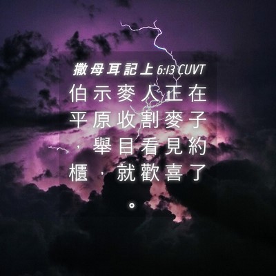 Picture 04 - 撒 母 耳 記 上 6:13 CUVT - 伯 示 麥 人 正 在 平 原 收 割 麥 子 - Bible Verse Picture