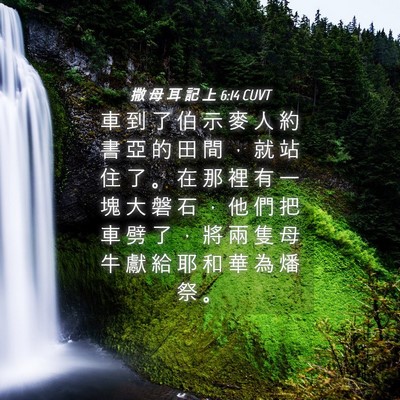 Picture 04 - 撒 母 耳 記 上 6:14 CUVT - 車 到 了 伯 示 麥 人 約 書 亞 的 田 - Bible Verse Picture