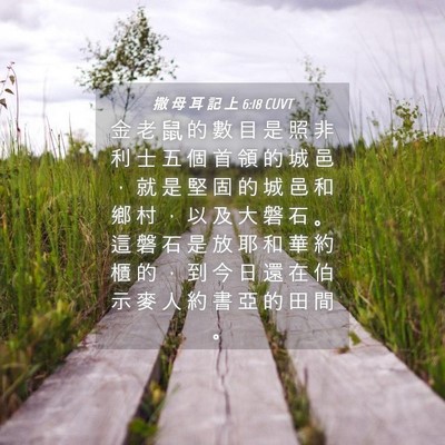 Picture 04 - 撒 母 耳 記 上 6:18 CUVT - 金 老 鼠 的 數 目 是 照 非 利 士 五 - Bible Verse Picture