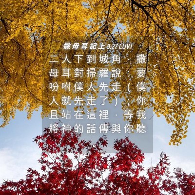 Picture 04 - 撒 母 耳 記 上 9:27 CUVT - 二 人 下 到 城 角 ， 撒 母 耳 對 掃 - Bible Verse Picture
