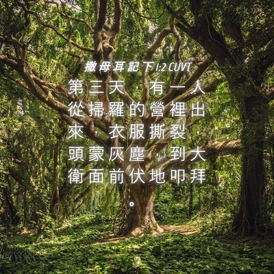 Picture 04 - 撒 母 耳 記 下 1:2 CUVT - 第 三 天 ， 有 一 人 從 掃 羅 的 營 - Bible Verse Picture