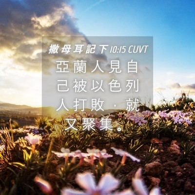Picture 04 - 撒 母 耳 記 下 10:15 CUVT - 亞 蘭 人 見 自 己 被 以 色 列 人 打 - Bible Verse Picture