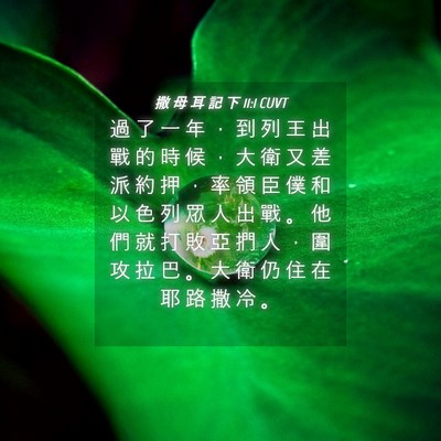 Picture 04 - 撒 母 耳 記 下 11:1 CUVT - 過 了 一 年 ， 到 列 王 出 戰 的 時 - Bible Verse Picture