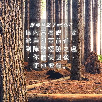Picture 04 - 撒 母 耳 記 下 11:15 CUVT - 信 內 寫 著 說 ： 要 派 烏 利 亞 前 - Bible Verse Picture