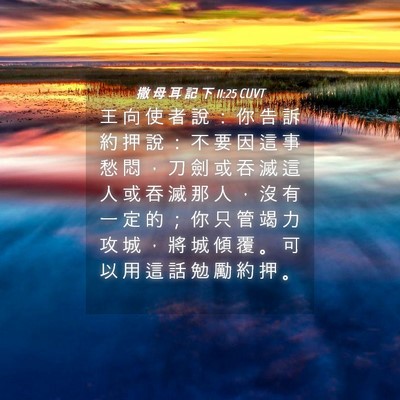 Picture 04 - 撒 母 耳 記 下 11:25 CUVT - 王 向 使 者 說 ： 你 告 訴 約 押 說 - Bible Verse Picture