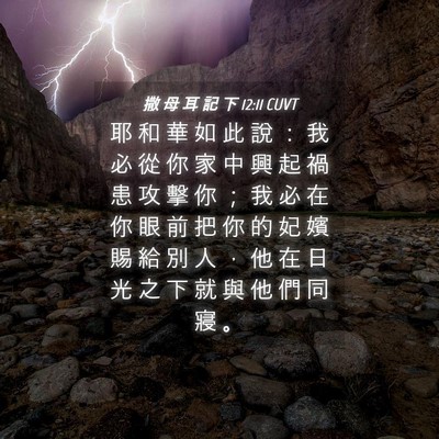 Picture 04 - 撒 母 耳 記 下 12:11 CUVT - 耶 和 華 如 此 說 ： 我 必 從 你 家 - Bible Verse Picture