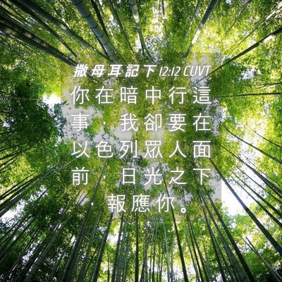 Picture 04 - 撒 母 耳 記 下 12:12 CUVT - 你 在 暗 中 行 這 事 ， 我 卻 要 在 - Bible Verse Picture