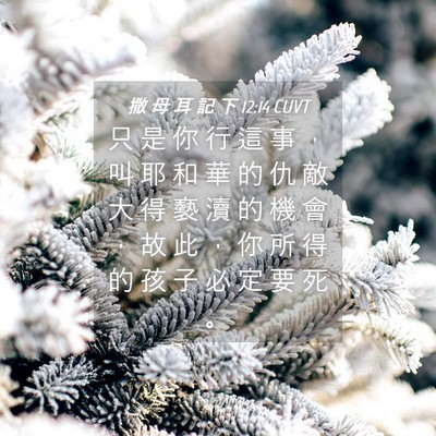 Picture 04 - 撒 母 耳 記 下 12:14 CUVT - 只 是 你 行 這 事 ， 叫 耶 和 華 的 - Bible Verse Picture