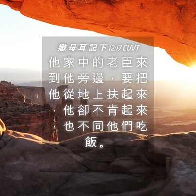 Picture 04 - 撒 母 耳 記 下 12:17 CUVT - 他 家 中 的 老 臣 來 到 他 旁 邊 ， - Bible Verse Picture