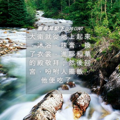 Picture 04 - 撒 母 耳 記 下 12:20 CUVT - 大 衛 就 從 地 上 起 來 ， 沐 浴 ， - Bible Verse Picture