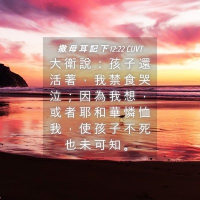 Picture 04 - 撒 母 耳 記 下 12:22 CUVT - 大 衛 說 ： 孩 子 還 活 著 ， 我 禁 - Bible Verse Picture