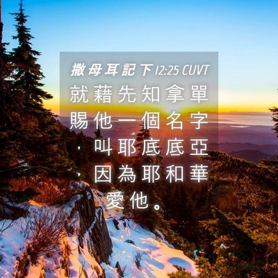 Picture 04 - 撒 母 耳 記 下 12:25 CUVT - 就 藉 先 知 拿 單 賜 他 一 個 名 字 - Bible Verse Picture
