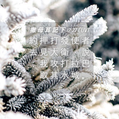 Picture 04 - 撒 母 耳 記 下 12:27 CUVT - 約 押 打 發 使 者 去 見 大 衛 ， 說 - Bible Verse Picture